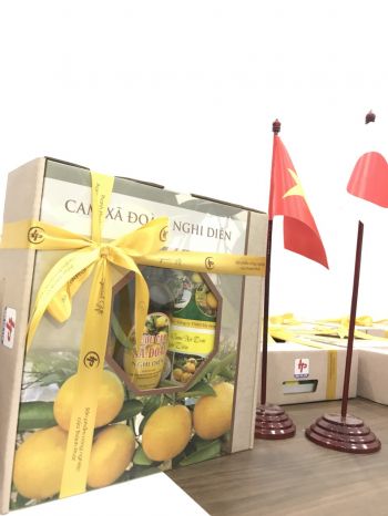 Hộp quà tết Cam Xã Đoài (9 quả cam và 1 chai rượu cam)
